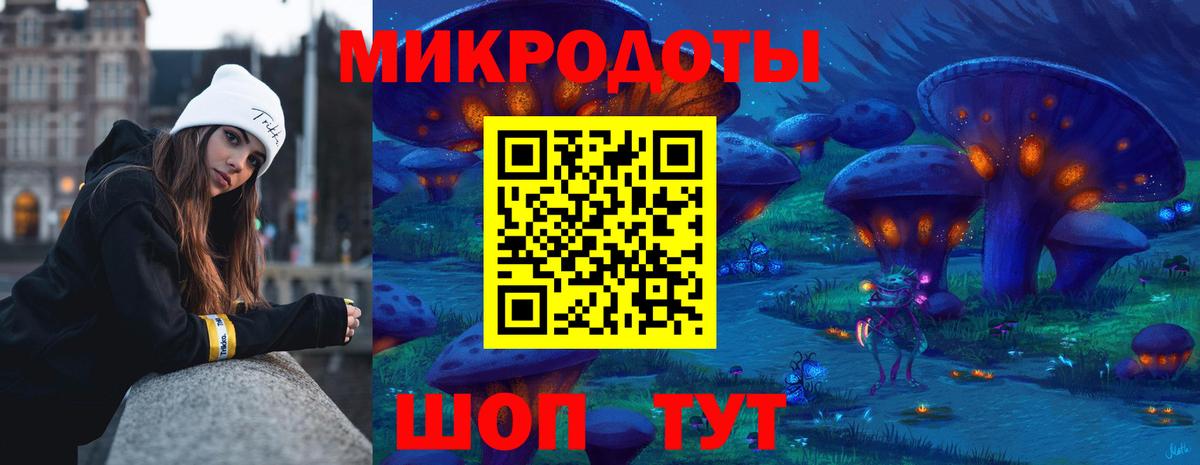 Псилоцибиновые грибы Cubensis Курск
